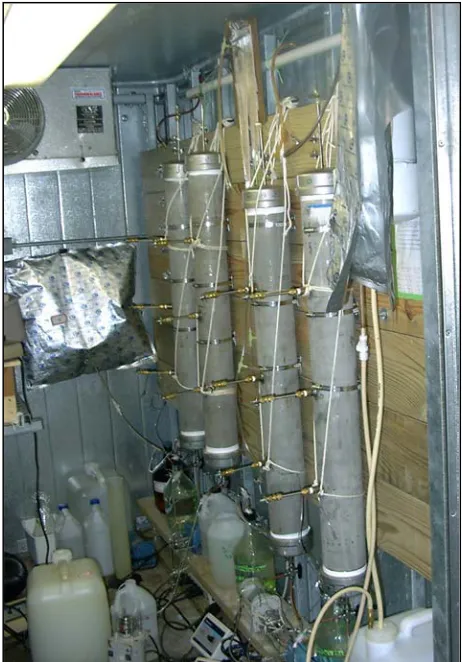 Figure 1: Photograph of 10 cm by 100 cm long continuous flow columns. 