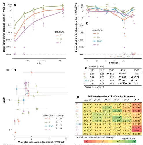 FIG 2 Viral titers and effective population sizes. (a and b) Viral titers measured at 6, 9, 12, 15, and 21 dpi for the 1st passage (a) and at 21 dpi in eachsigniﬁcant after removing one of the lineages (P3, for which the titer was not reduced) from the ana