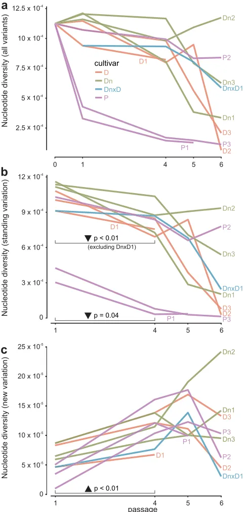 FIG 3 Virus population diversity dynamics. The average population nucleotide diversity (lated for all SNPs (a), SNPs present already in the source inoculum (standing variation) (b), and newspontaneous mutations (new variation) (c)