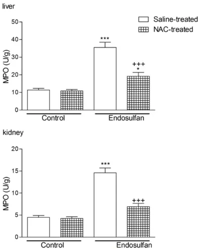Figure 3. Malondialdehyde (MDA) levels in the liver and kidney samples of the saline- or NAC-treated Control and Endo groups