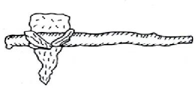 Figure 2.1: Hand-Held Tool with Tree Branch as a Lever. (Davis, D.1999) 