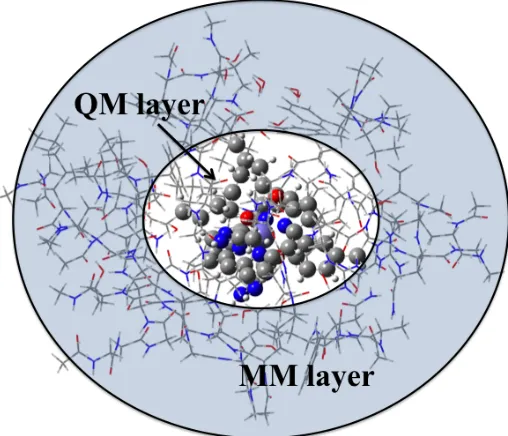 Figure 2.2 Representation of a QM/MM model. The shaded region corresponds the MM 