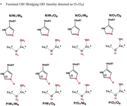 Figure 3.2. Schematic representations of all considered models and protonation states of 