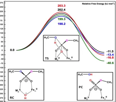 Figure 3.6. Schematic free energy surface of the DMP hydrolysis by Fe(II)/M(II)–GpdQ 