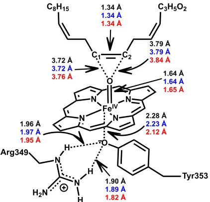 Figure 4.3. Schematic representation of the structure of Cpd I/cAOS optimized at the 
