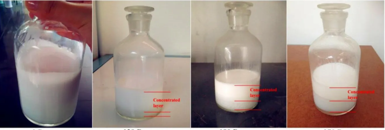 Figure 8: Phase separation of emulsion 287 