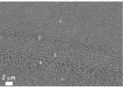Figure 10. FESEM image of an AlSi10Mg alloy produced by means of the DMLS process in an as-built  condition after etching with a Keller reagent: it is possible to observe the different sizes of the  cellular-dendritic structures
