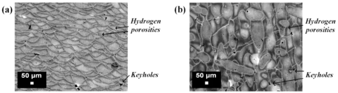 Figure 11. Optical images of an AlSi10Mg microstructure after Keller’s etching: (a) vertical section; 