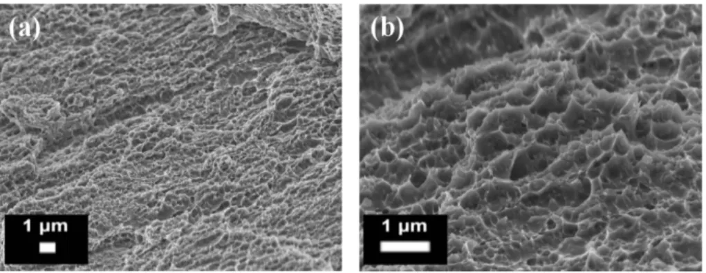 Figure 13. Example of a fracture surface of an AlSi10Mg alloy obtained by means of SLM observed by  FESEM, at (a) low; and (b) high magnifications