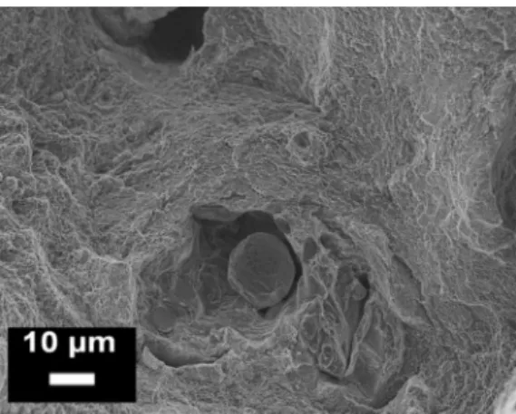Figure 16. Example of an un-melted powder particle inside an SLM AlSi10Mg tensile sample observed  at by FESEM (from the authors’ own unpublished work)