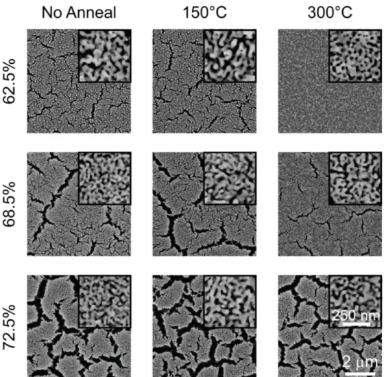 Figure 2-5 SEM images of nanoporous gold thin films with different silver composition and  annealing temperature