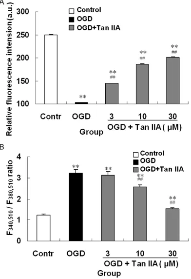 Figure 4. Effect of Tan IIA pretreatment on ∆ψ (A) and [Ca2+]i (B) of hippocampal neurons incurred OGD