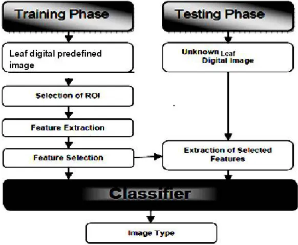 Fig. 1.: Block diagram for Leaf classification system 