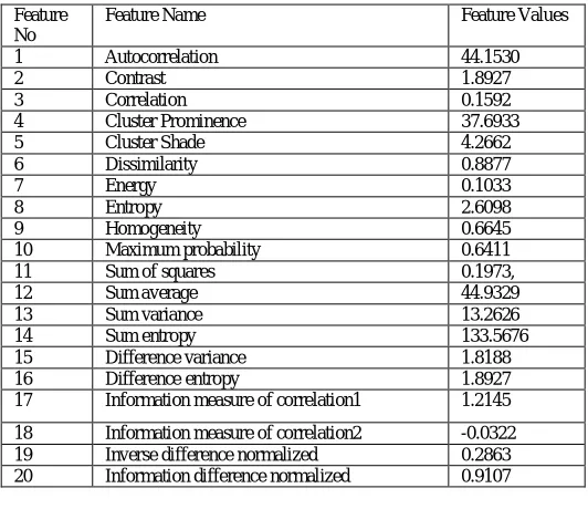 Table 3.3 : GLCM Features and values Extracted from a sample leaf image 