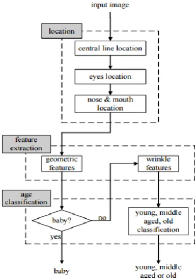Fig 3.6.4:  Shows the formation of hyperplane and also the how the image is classified between red and blue using SVM