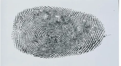 Fig. 1:  A ﬁngerprint image acquired by an Optical Sensor. 