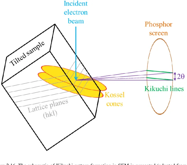Figure 2.16. The schematic of Kikuchi pattern formation in SEM is presented (adapted from ref