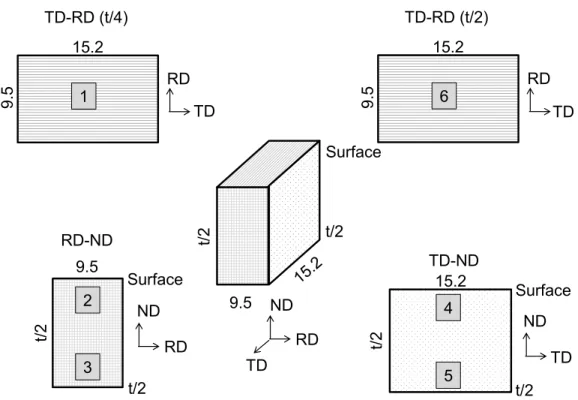 Figure 2: Sample geometry and approximate scan locations for EBSD analysis. Four thin samples are removed  from a sample of comparable size to OM samples