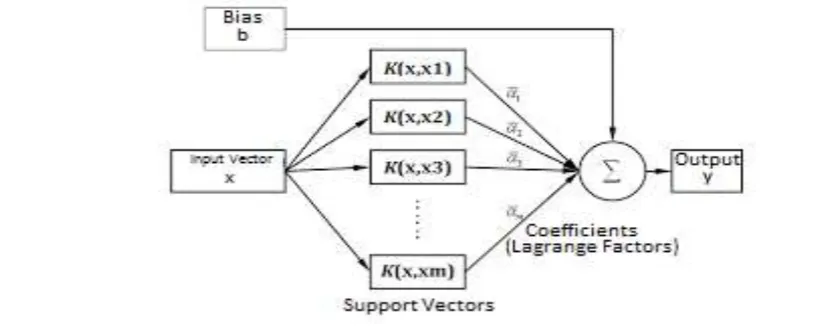 Fig. 5: Support vector machine structure 
