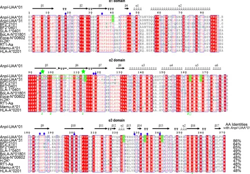 FIG 2 Structure-based amino acid sequence alignment ofCysteines at positions 95 and 112 are marked by green stars