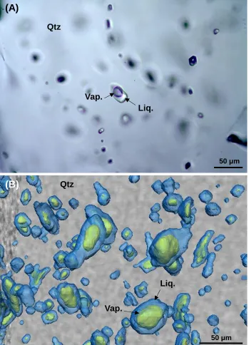 Figure 3(A)
