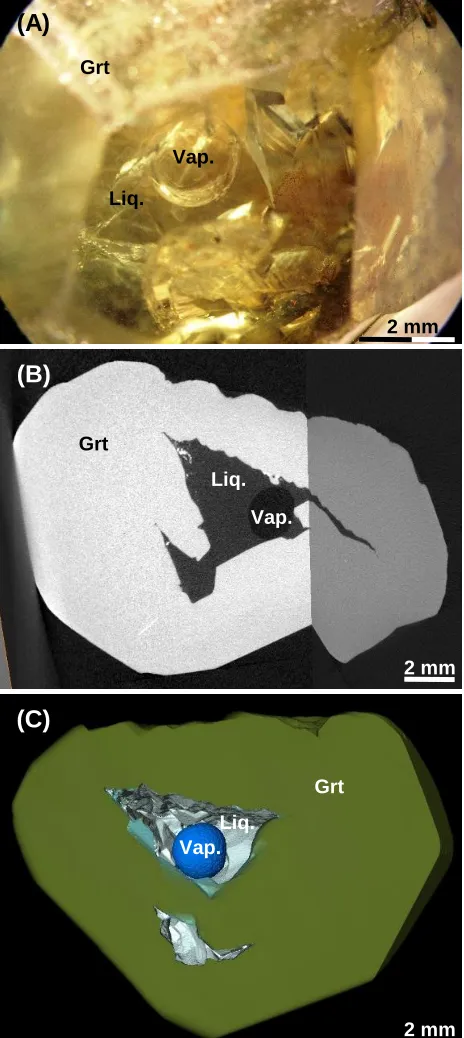Figure 4(A)