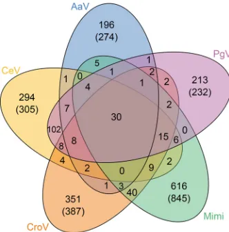 FIG 2 Venn diagram indicating the global proximity in gene content of CeV, its two closest relatives, PgVgenus, Mimi)