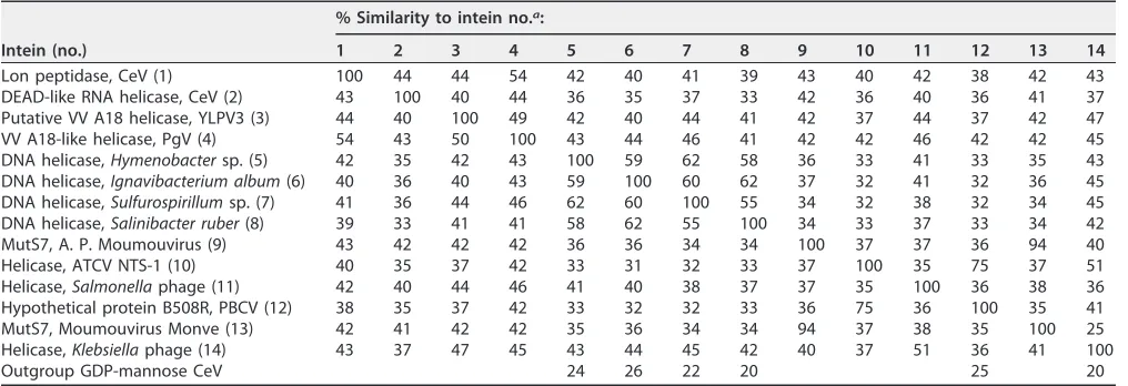 FIG 6 Helicase-type intein inserted in the CeV Lon peptidase. Multiple alignment, computed with Muscle (57), of the 8 blocks (numbered below the alignment)characteristic of inteins (Table 3)