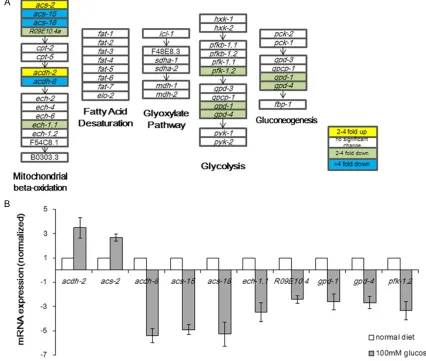 Figure 4. High-glucose diets altered metabolic gene expression. A, B. Ten metabolic genes were significantly altered following exposure to 100 mM glucose