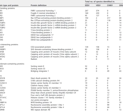 TABLE 1 Host proteins interacting with nsP3 HVDs of different alphaviruses