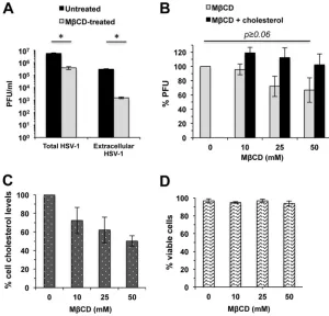 FIG 1 Cell cholesterol plays a role in HSV-1 replication beyond entry. (A) Vero cells were infected with45 min at room temperature and then rinsed and replenished with serum-free medium