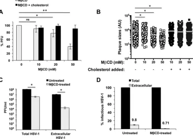 FIG 5 Cholesterol is important for HSV-1 replication in human epithelial cells. (A and B) Infected HaCaT cells (MOI � 0.0002to 0.002) were treated under conditions similar to those described for Fig