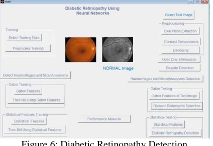 Figure 6: Diabetic Retinopathy Detection 