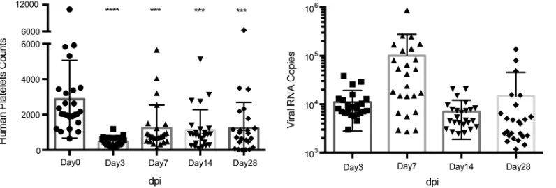 FIG 1 The thrombocytopenia of human platelets and the viral RNA load were detected in dengue virus-infected humanizedmice were bled at the indicated times (dpi), and the whole blood was used for platelet counting, while the serum was usedfor viral load mea