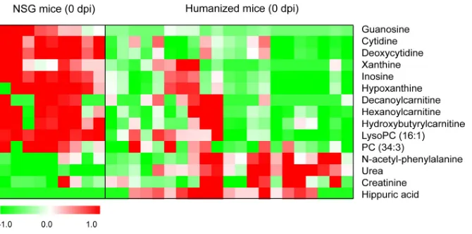 FIG 2 Heat map of identiﬁed differential metabolites between humice and NSG mice without dengueinfection