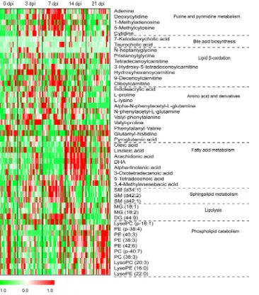 FIG 3 Heat map of identiﬁed differential metabolites in humice with dengue infection. Each row shows the ionintensity for a speciﬁc metabolite after mean centering and unit variance scaling of the data