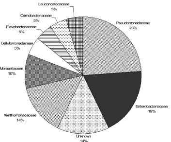 Figure 2 Representative bacterial sequences categorized by family from fresh refuse (November 18 sample)