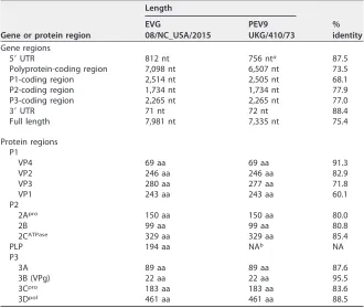 TABLE 1 Genome comparison of EVG 08/NC_USA/2015 and a prototype EVG strain (PEV9UKG/410/73)c