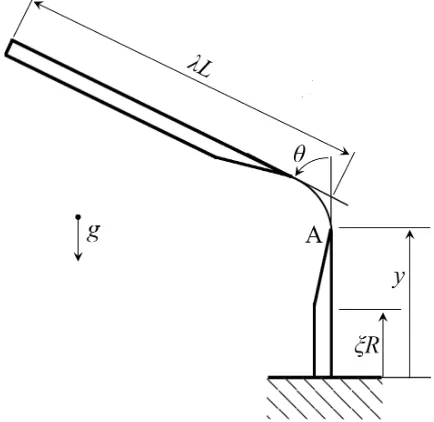 Figure 2.12: Schematic of a tape spring with a localized fold distance y away from a clampedend [45].