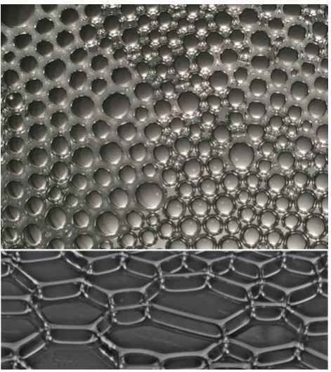 Figure 1.2: Top: A close up of a single layer of bubbles (diameter ≃ 0.5 mm)oating on a liquid pool (an example of a Bragg raft)