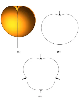 Figure 1.11: Examples of bubbles in the Morse−Witten theory in two and three