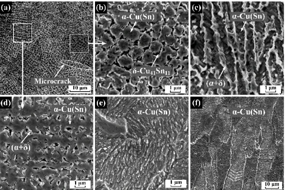 Fig. 7. SEM images of the SLM Cu-15Sn samples (a-d) before and (e, f) after annealing at 600 °C for  4 h