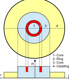 Fig. 1. Ring doping schematic of a MMF with the change in the refractive index along r-axis.