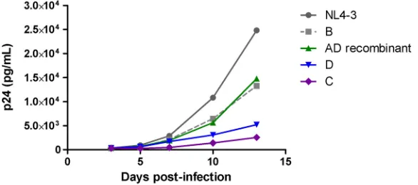 TABLE 3 Replication capacities of recombinant viruses encoding patient-derived Gag/Gag-proteases of different subtypes in GXR cells