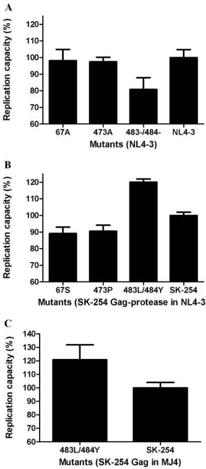 FIG 5 Replication capacities of HIV-1 subtype B and C viruses encoding subtype-speciﬁc mutations inGag