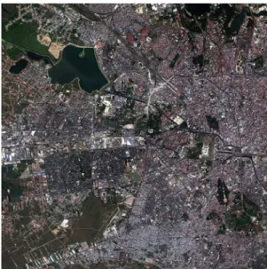 Fig. 3. WorldView2 image, 2m resolution, 8 bands. 