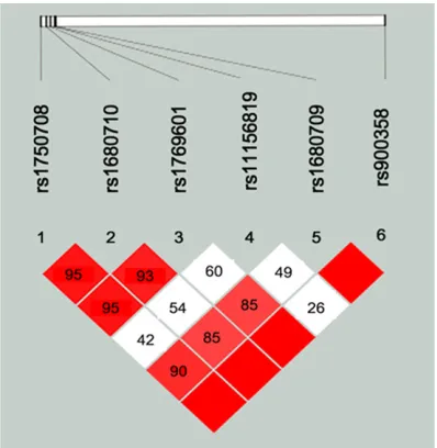 Table 5. Genotype frequencies of SNPs and odd ratios in COPD subgroups