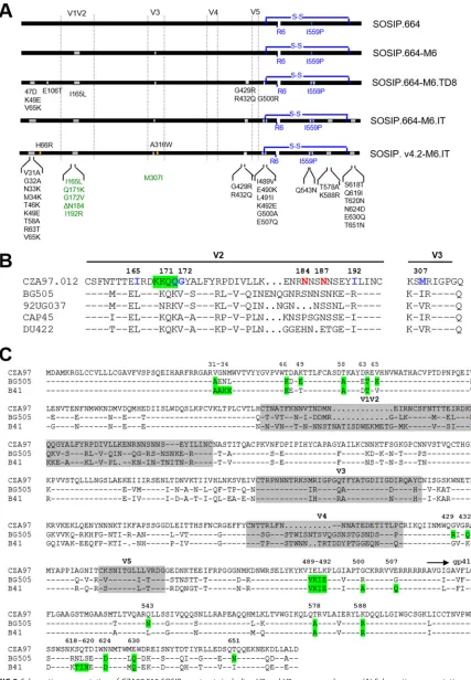 FIG 2 Schematic representation of CZA97.012 SOSIP constructs including V2 and V3 sequence changes