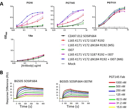 FIG 3 Substitutions in V2 and/or V3 restore the PGT145 epitope. (A) The ELISA binding curves show the reactivity of the indicated NAbs and athe reactivity of the indicated NAbs at 500 nM with 2G12/SEC-puriﬁed, immobilized wild-type BG505 SOSIP.664 and I307