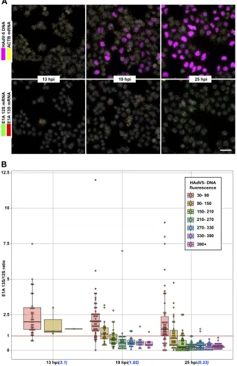 FIG 5 Single-cellbox-and-whisker plot for each cell group was overlaid with data points
